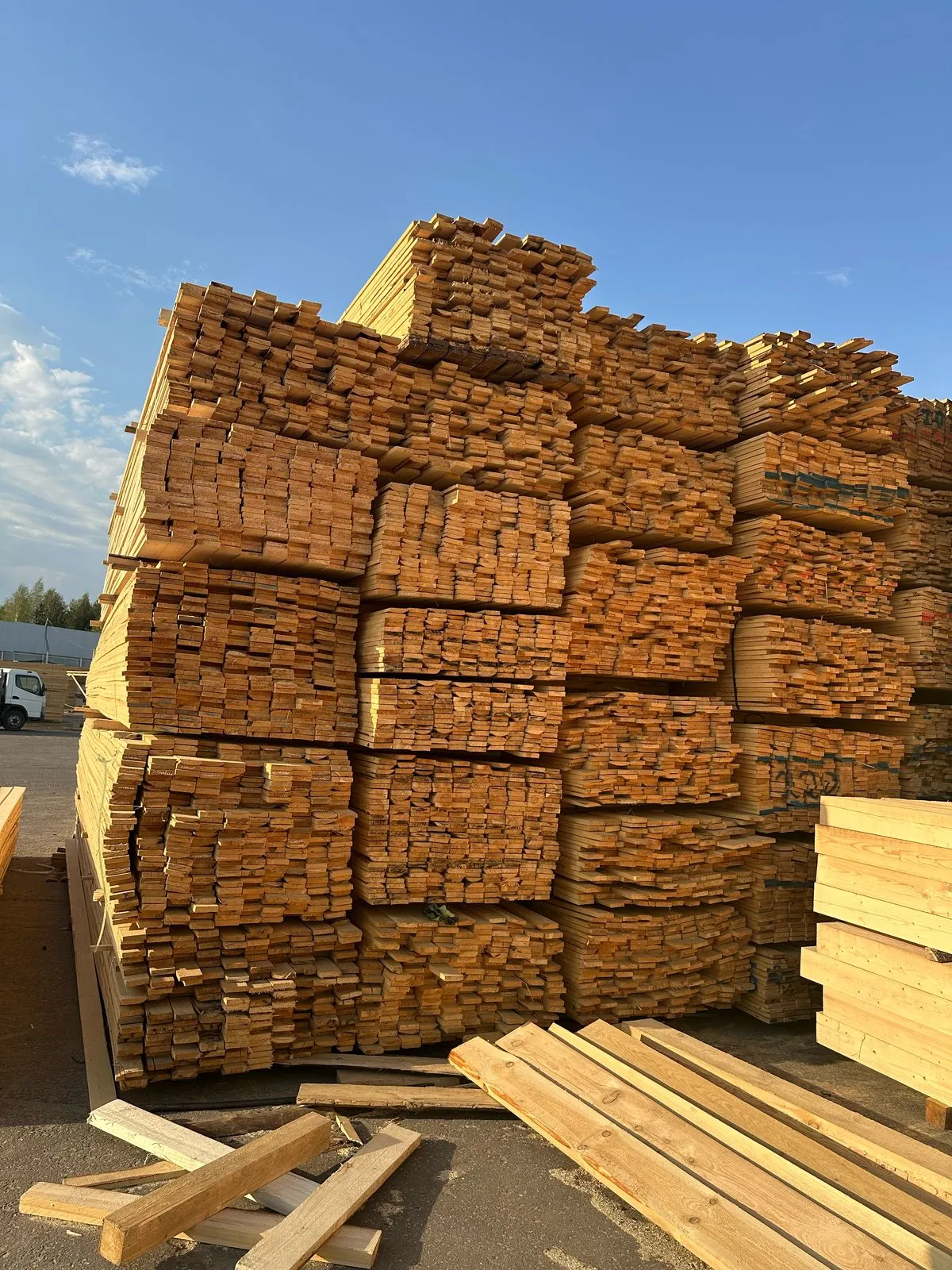 Купить Доска обрезная лиственница 25х100х6000 мм 1 сорт